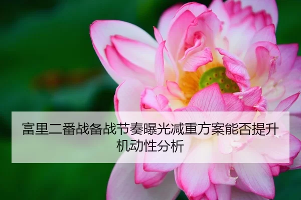 富里二番战备战节奏曝光减重方案能否提升机动性分析