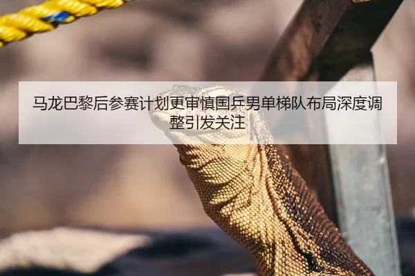 马龙巴黎后参赛计划更审慎国乒男单梯队布局深度调整引发关注