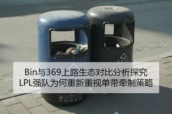 Bin与369上路生态对比分析探究LPL强队为何重新重视单带牵制策略