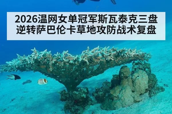 2026温网女单冠军斯瓦泰克三盘逆转萨巴伦卡草地攻防战术复盘